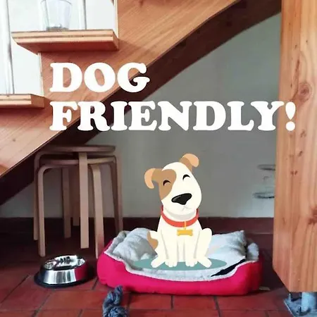 Charmante Maison T2 Au Centre De * Bordeaux