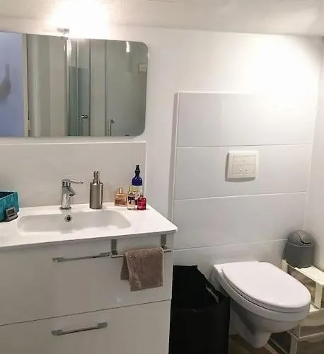 Centre - Maison T2 Entiere Et Climatisee Appartement